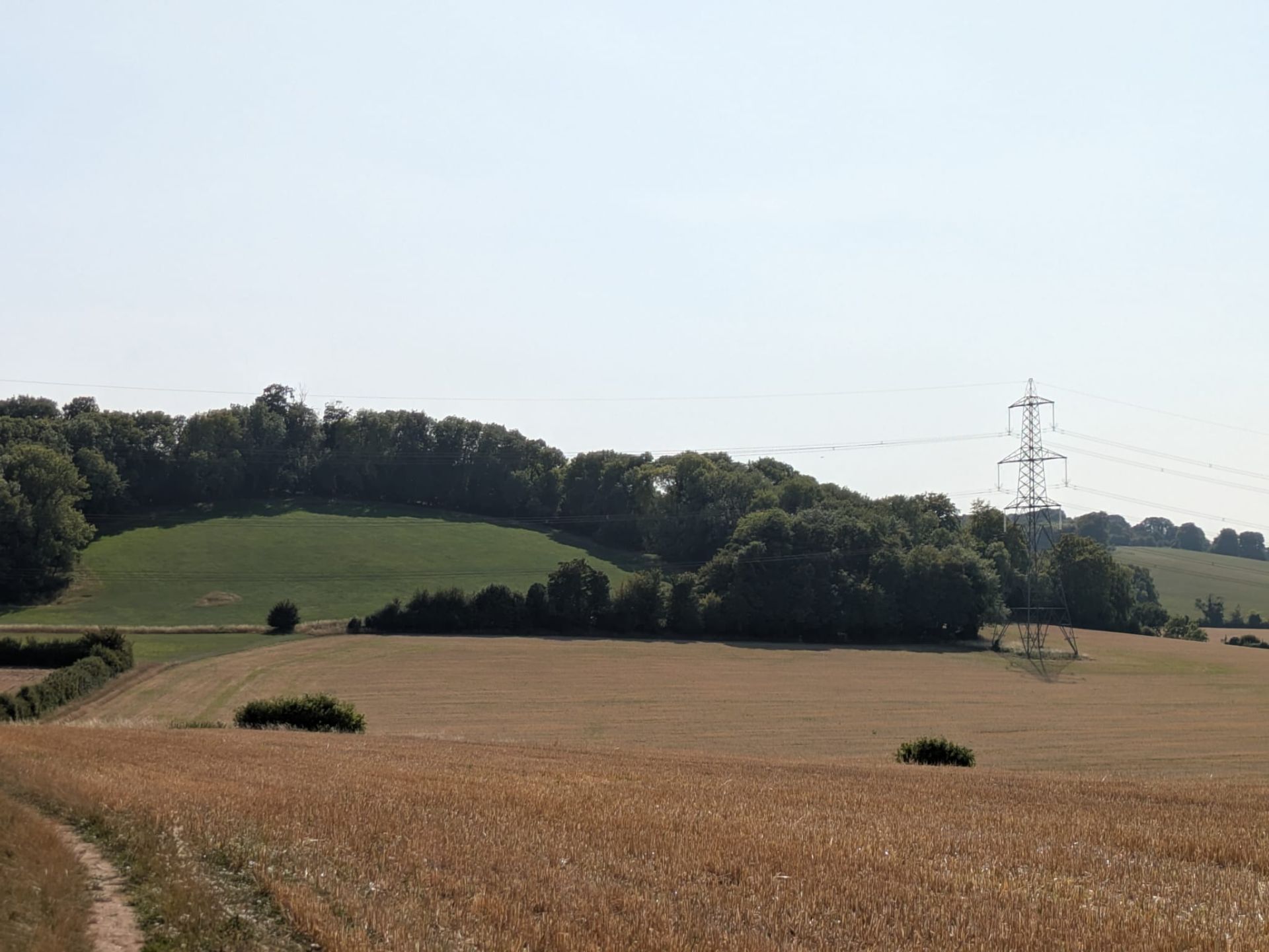 A field with hay bales